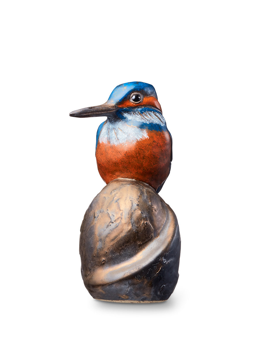 Dierenurn ijsvogel op een rots