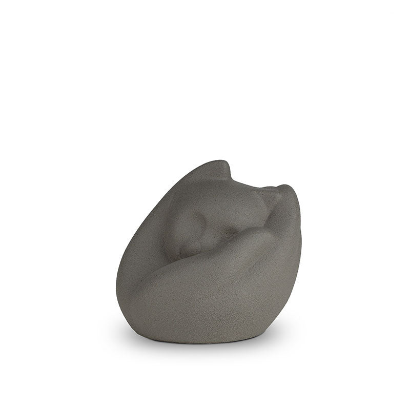 Mooie katten urn grijs
