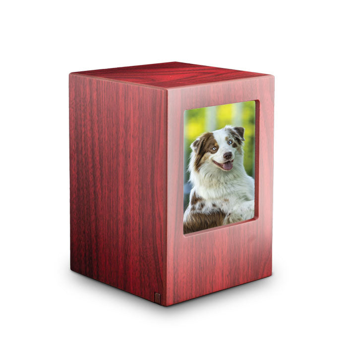 Dieren urn met foto lijst van hout in het rodd